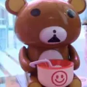 ピピの画像