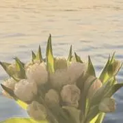 aaaの画像
