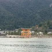 遊戯王 PSA10 完美品 パラレル 勝利の導き手フレイヤ 鑑定品 TP16