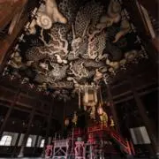 双龍