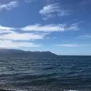 みんみんの画像