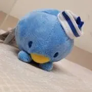 S プロフ必須！