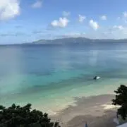 Ryuの画像
