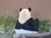 やまちゃんの画像