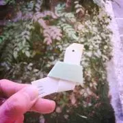 Cocoの画像