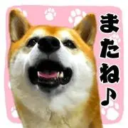 コボちゃん