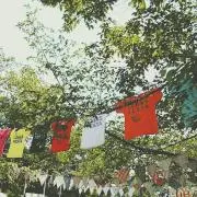 omame○の画像