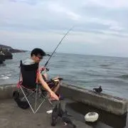 欲しけりゃ言ってねの画像