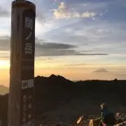 やごの画像
