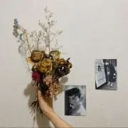 .Kの画像