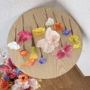 zzzzz.213の画像