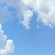 ymの画像
