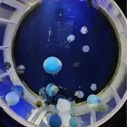 ごま　☆即購入OK☆の画像