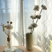 Wa.即購入OKの画像