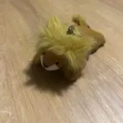ちゃすの画像