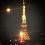猫じゃらし
