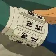 Shaidaの画像