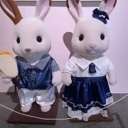 Taakoの画像