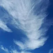 にの画像