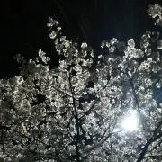 捗らない断捨離の画像