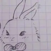 RSの画像