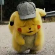 ぽんたの画像