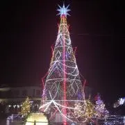 アルファの画像