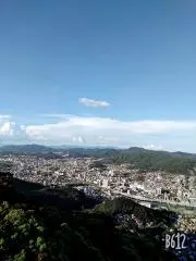 cyaの画像