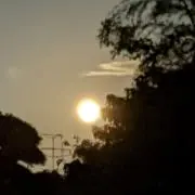 ゆず