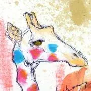 ayaの画像