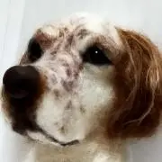 ゆう(ㆁᴗㆁ✿)の画像