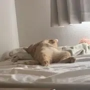 あ