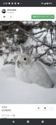 もなか