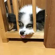 ＴＫＭの画像