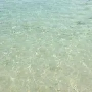 まいむ