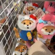 Kayaの画像