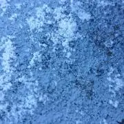 youの画像