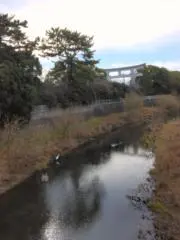 もふもふの画像