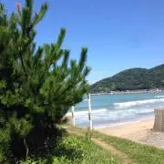 pokke