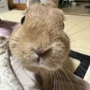 なの画像