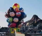 ふわの画像