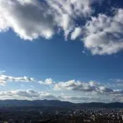 yの画像