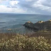 YU82の画像
