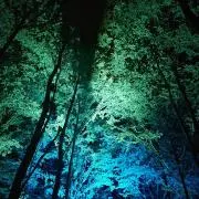 ゆうきgoの画像