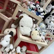 うっちーの画像