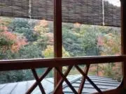 ケーコの画像