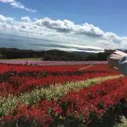 haco.の画像