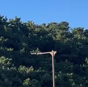 ニックネームの画像