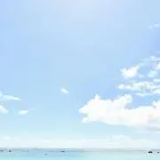 ゆきの画像
