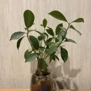 taku ※プロフ必読の画像